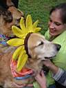 01_0021.JPG: Eeyore's Birthday 2004:  Liz with Marshall, the headbanded Eeyores dog